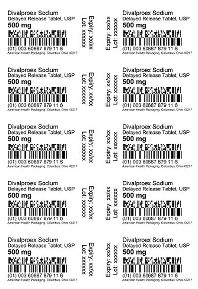 500 mg Divalproex Sodium DR Tablet Blister.jpg - 500 mg Divalproex Sodium DR Tablet Blister